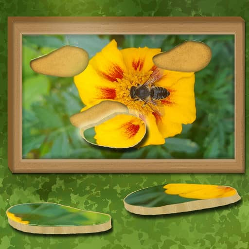 Find & Restore: Hidden Puzzle - Free Online Game