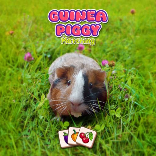 Guinea Piggy Matching - Free Online Game